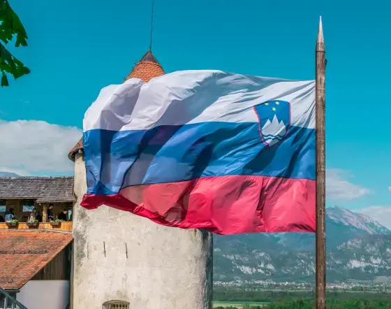 🎓 Why Choose Slovenia for Higher Education?