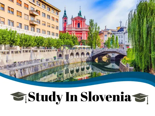 Study In Slovenia